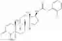 Fig. 124 - Androgen receptor modulators and methods of use thereof