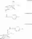 Fig. 75 - Derivatives of azasugars as anticancer agents