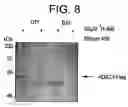 Fig. 09 - Cytodifferentiating agents and histone deacetylase inhibitors, and methods of use thereof