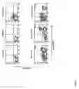 Fig. 06 - P38 kinase inhibitor compositions and methods of using the same