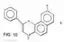 Fig. 07 - Compound