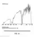 Fig. 16 - Sertraline hydrochloride polymorphs