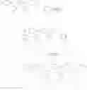 Fig. 14 - Polymer