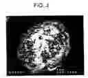 Fig. 04 - Free-flowing polymer composition