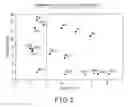 Fig. 02 - Oriented thermoplastic elastomer film and process for producing the same