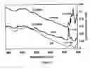 Fig. 03 - Hydroxyapatite grafted fumarate based macromers for biodegradable composites