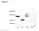 Fig. 28 - Transmembrane protein amigo and uses thereof