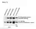 Fig. 30 - Transmembrane protein amigo and uses thereof