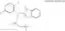 Fig. 23 - Heterocyclic methyl sulfone derivative