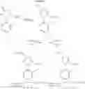 Fig. 45 - Method and preparing fused oxazinones