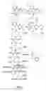 Fig. 02 - Probe for measuring phytase activity