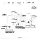 Fig. 07 - Catalytic systems for the conversion of hydrocarbons to functionalized products
