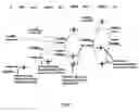 Fig. 08 - Catalytic systems for the conversion of hydrocarbons to functionalized products