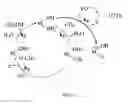 Fig. 22 - Catalytic systems for the conversion of hydrocarbons to functionalized products