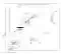 Fig. 01 - Enhanced shape characterization device and method