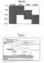 Fig. 08 - Ultrasound detection