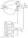 Fig. 01 - Method and apparatus for non-invasive measurement of a temperature change inside a living body