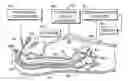 Fig. 01 - Endoscopic medical method and associated device