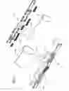 Fig. 03 - Orthopedic brace having length-adjustable supports
