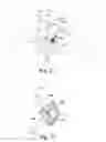 Fig. 08 - Antero-lateral plating systems and methods for spinal stabilization