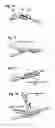 Fig. 06 - Bone fixation device for surgical operation, cutting device and band head for the same