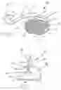 Fig. 03 - Patella protector