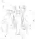 Fig. 02 - Inserting anterior and posterior spinal prostheses