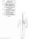 Fig. 06 - System and method for electrical stimulation of the intervertebral disc