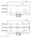 Fig. 08 - Method and apparatus for simultaneously presenting cardiac and neural signals