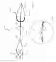 Fig. 10 - Blood flow controlling apparatus
