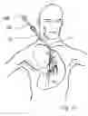 Fig. 70 - Blood flow controlling apparatus