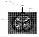 Fig. 01 - Oriented polymeric spinal implants