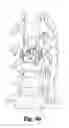 Fig. 06 - Spinal implant