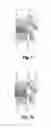 Fig. 09 - Spinal implant