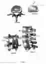 Fig. 04 - Load bearing intervertebral disk