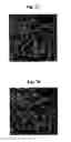 Fig. 07 - Method of reconstructing a stochastic model, representative of a porous heterogeneous medium, to improve its calibration by production data