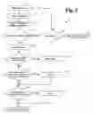 Fig. 03 - Translation previewer and validator