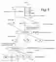 Fig. 04 - Contacts networking technology