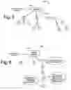 Fig. 06 - Contacts networking technology