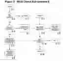 Fig. 06 - System and method for the collection and management of firearm transactions and logs