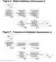 Fig. 07 - System and method for the collection and management of firearm transactions and logs