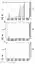 Fig. 06 - Method and apparatus for acquisition and administration of medical image data
