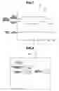 Fig. 07 - Medical operation system for verifying and analyzing a medical operation