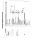 Fig. 08 - System and method for accessing devices with a console server