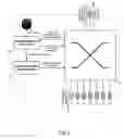 Fig. 03 - Detection of duplicated network addresses