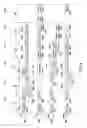 Fig. 04 - Register files for a digital signal processor operating in an interleaved multi-threaded environment