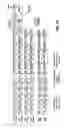 Fig. 10 - Communication interface for diagnostic circuits of an integrated circuit