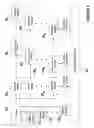 Fig. 04 - System for abstracting audio-video codecs