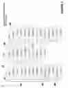 Fig. 06 - System for abstracting audio-video codecs