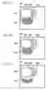 Fig. 06 - Automatic floorplanning approach for semiconductor integrated circuit
